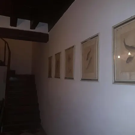 Vendégház Casa Arte